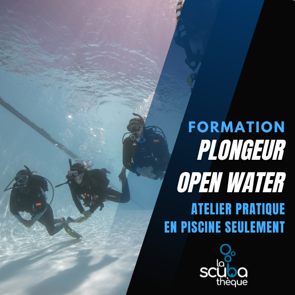 Open Water -  Atelier pratique en piscine seulement