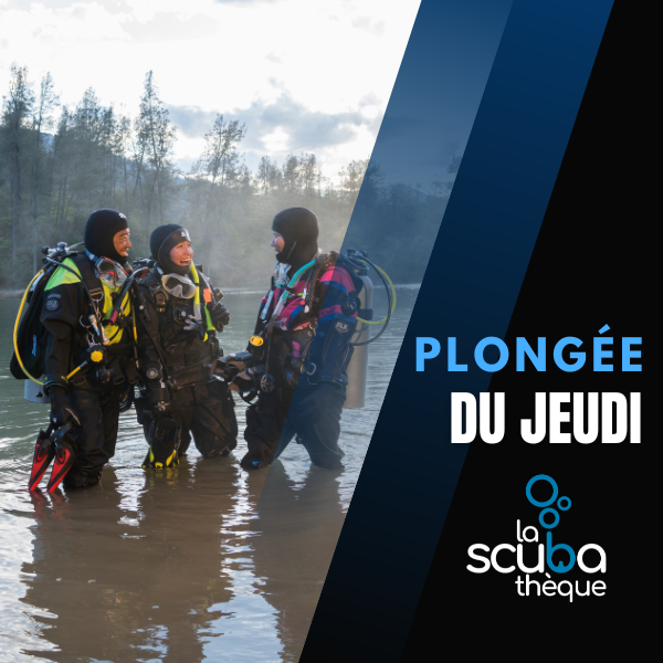 Plongée du jeudi - Accès pour 1 personne - Prochaine date 16 juillet 2026