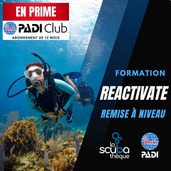 Remise à niveau - PADI ReActivate - Prochaine date le 20 juin 2026
