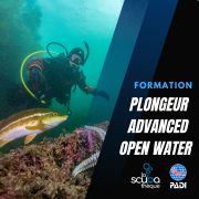 Advanced Open Water Diver PADI - Prochaine date le 15 octobre 2026