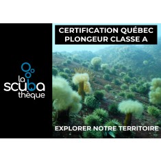 Certification permis du Québec Classe A  - Sur demande (pour plongeur déjà certifié)