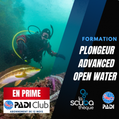 Advanced Open Water Diver PADI - Prochaine date le 13 août 2026